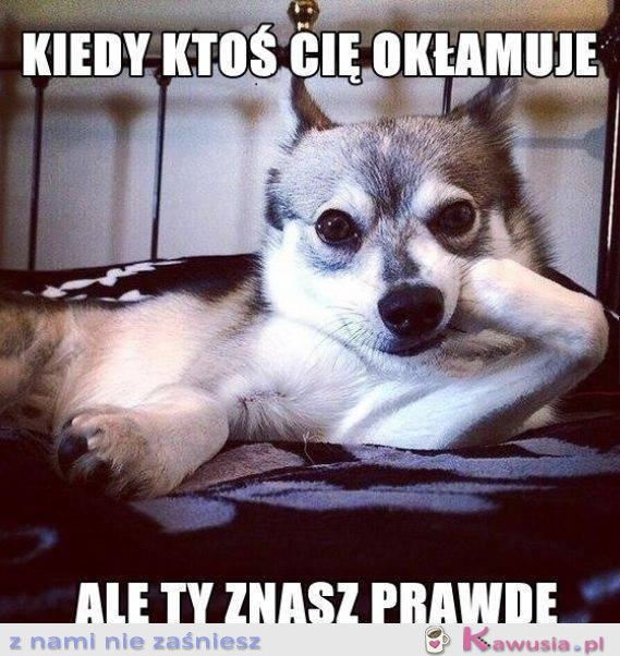 Kiedy ktoś Cię okłamuje...