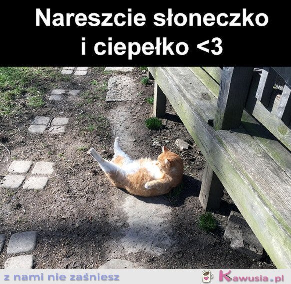 Ciepełko