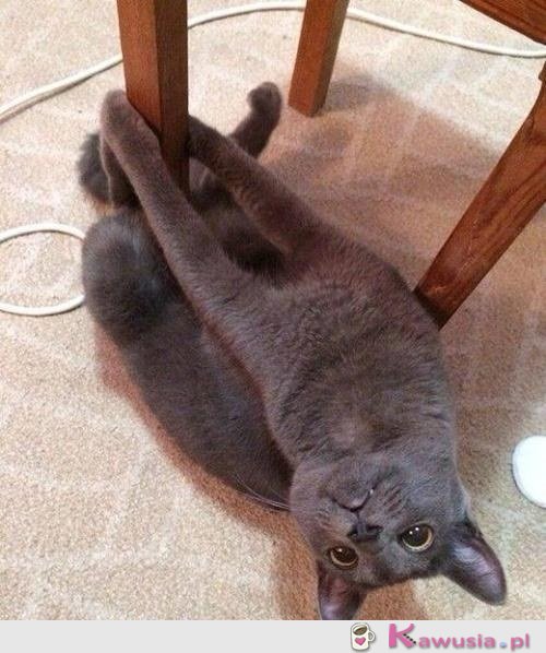 Trzymajcie się - miłego dnia!