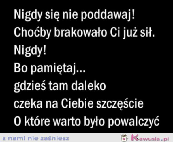 Nigdy się nie poddawaj!