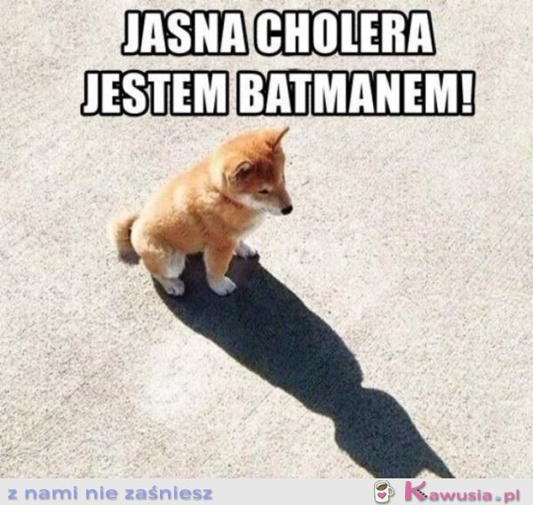 Jestę Batmanę