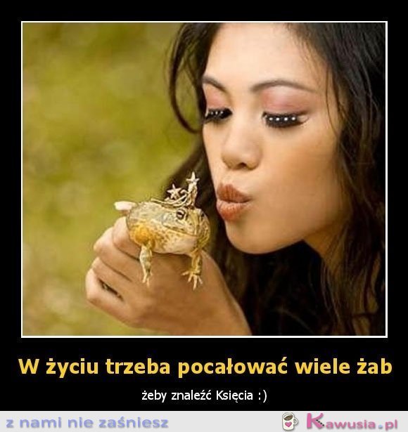 W życiu trzeba pocałować wiele żab