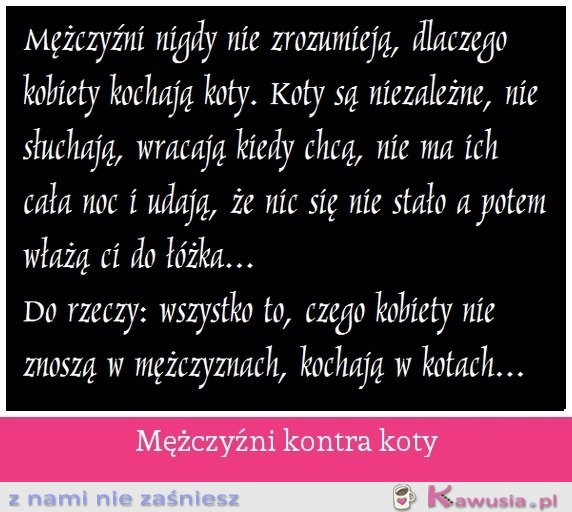 Mężczyźni kontra koty