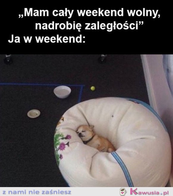 ZA KAŻDYM RAZEM...