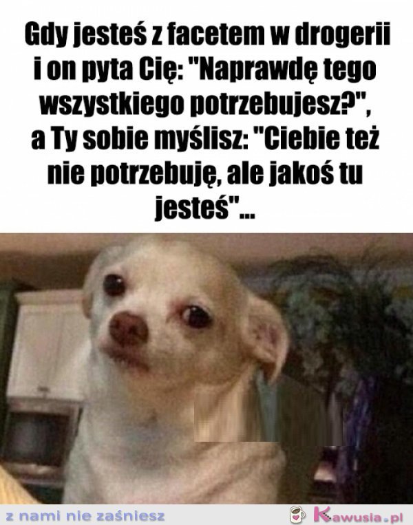 No i proszę...