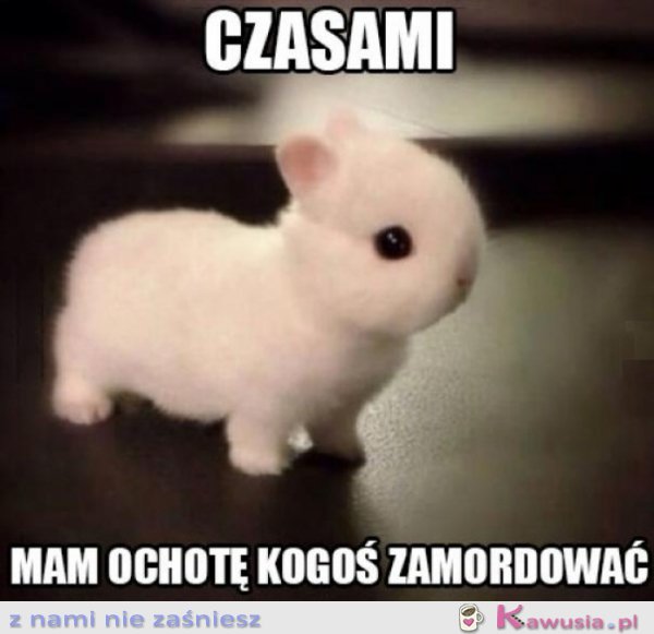 Tak troszeczkę...