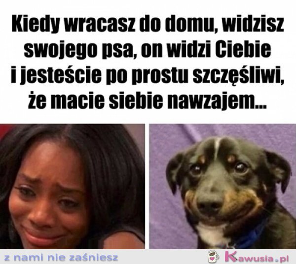 I wystarczy... 
