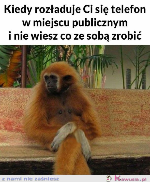 TO UCZUCIE
