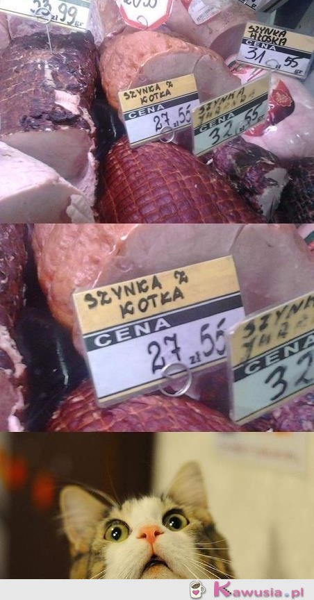 Szynka z kotka