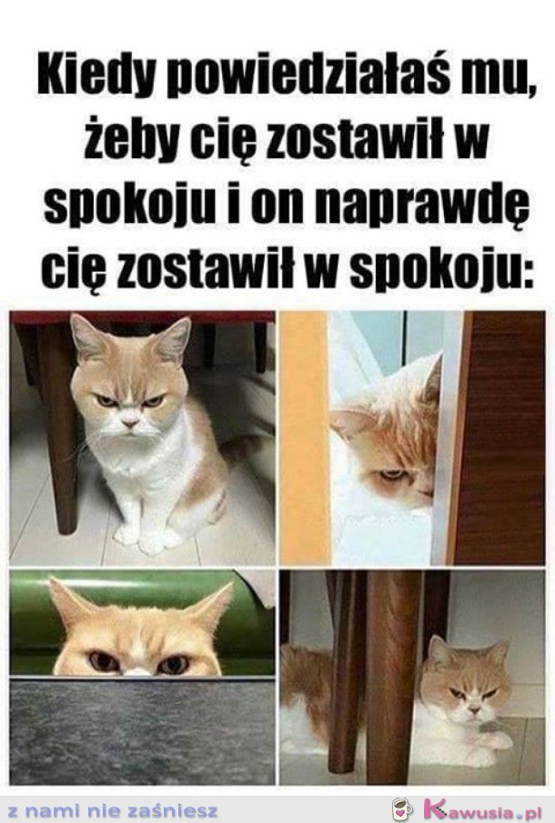 Jak mogłeś mi to zrobić?