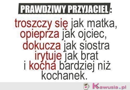 Prawdziwy przyjaciel...