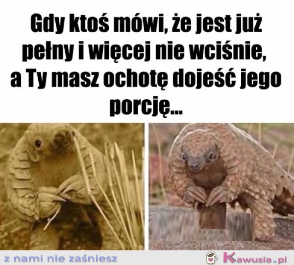 Co ma się zmarnować...