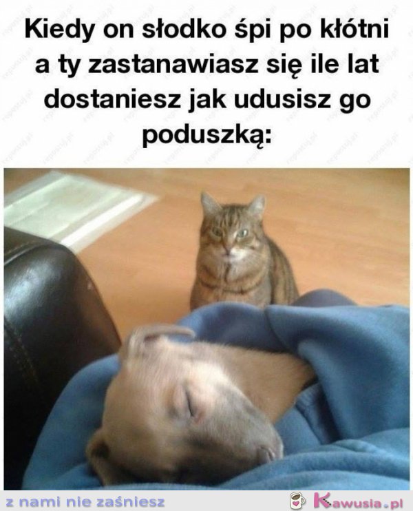 Ciekawe ile lat dostanę