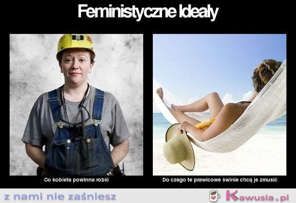 Feministyczne ideały