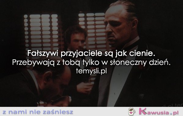 Fałszywi przyjaciele są jak cienie...