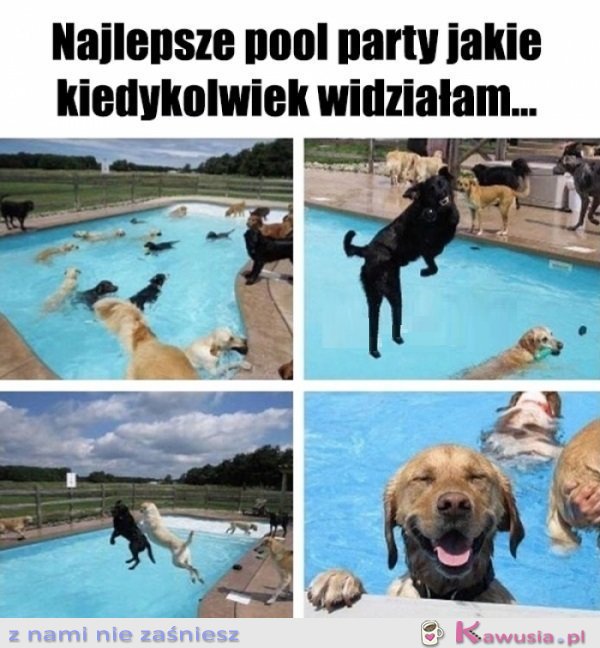 A moje zaproszenie zaginęło?!