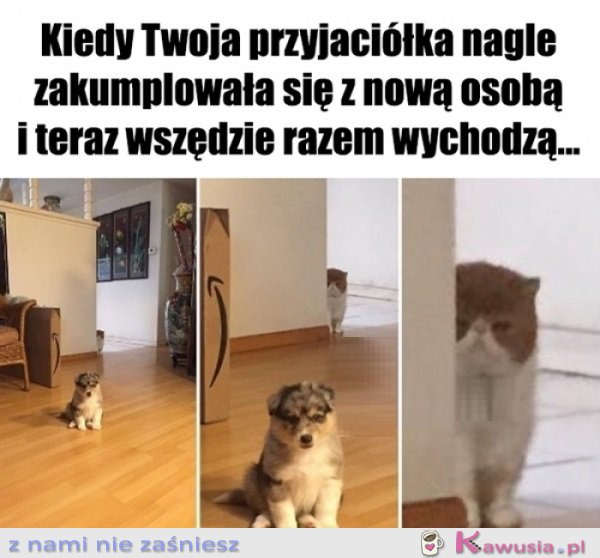 Jeszcze zobaczymy...