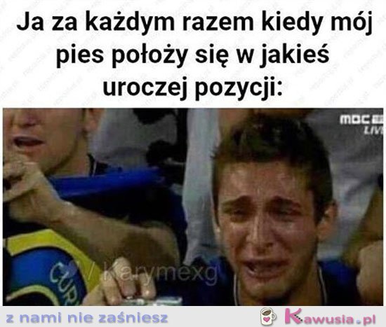 Mój piesek jest taki słodki