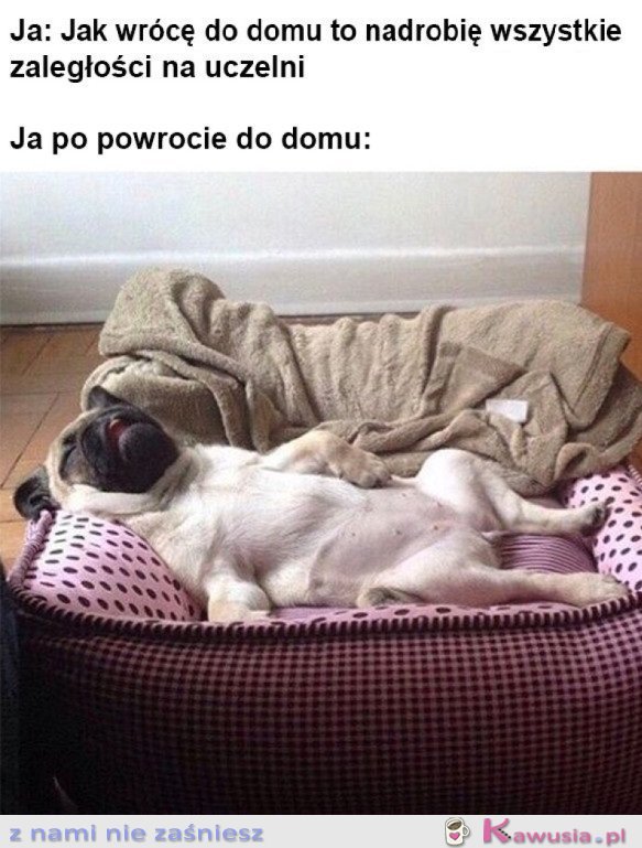 Będę produktywna