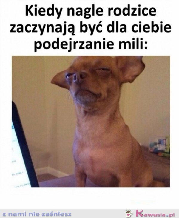Co oni tacy mili