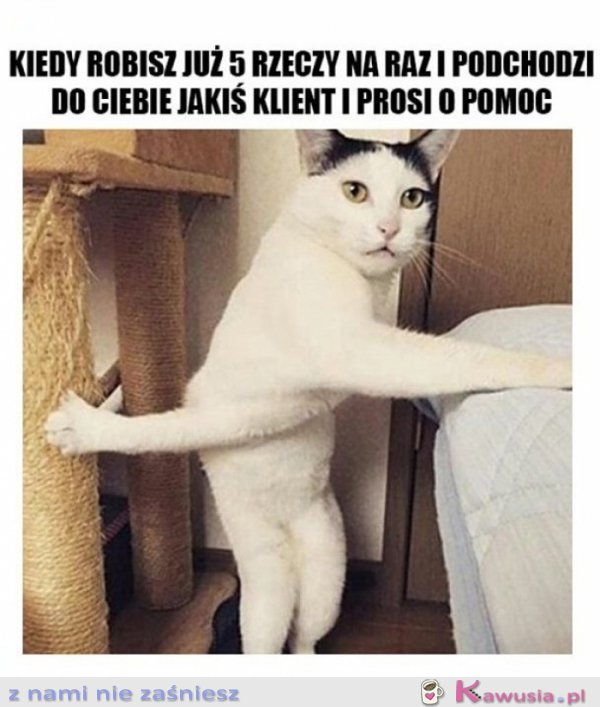 Kiedy robisz pięć rzeczy na raz