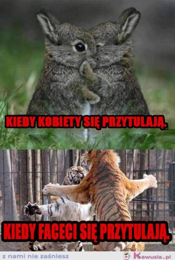 KOBIETY VS MĘŻCZYŹNI