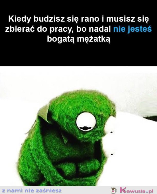 KOLEJNY DZIEŃ