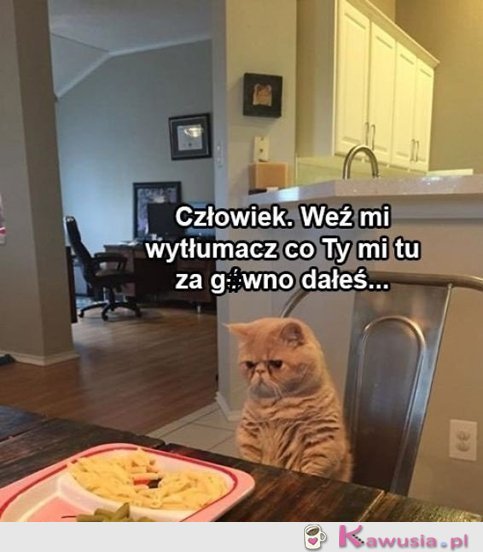 Człowiek! Co to ma być?!