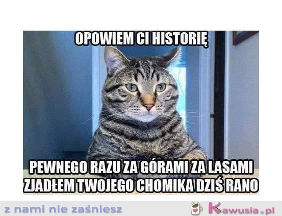 Opowiem ci historię