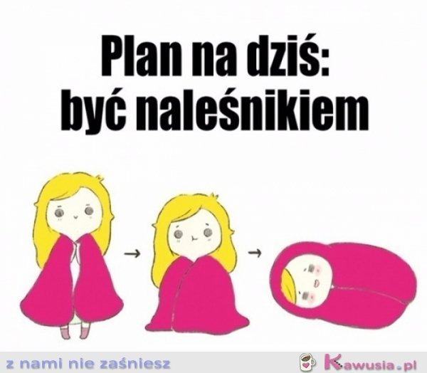 Plan idealny...
