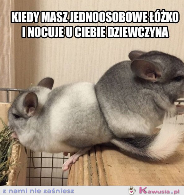 Kochanie jakoś się zmieścimy