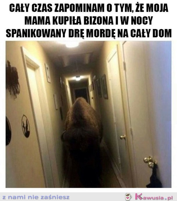 NIETYPOWA ZACHCIANKA MOJEJ MAMY