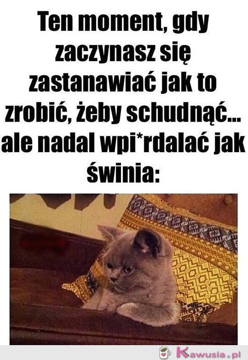 Oto jest pytanie...