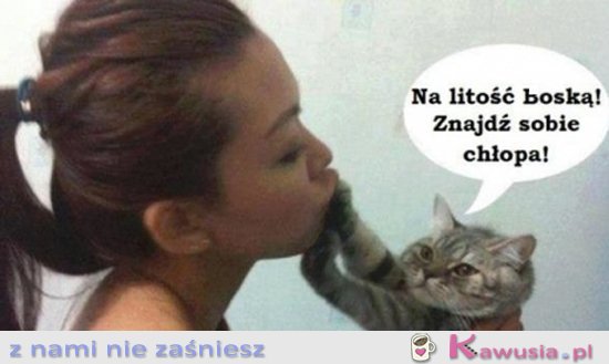 Kotek radzi