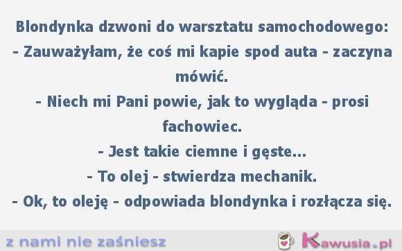 Blondynka dzwoni do warsztatu samochodowego