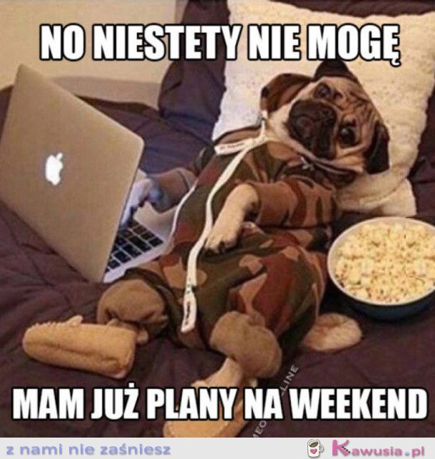 PLANY NA WEEKEND