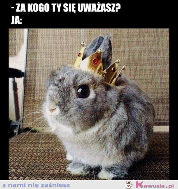 Jestem księżniczką