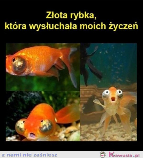 Pierwszy raz widzę tę mine u niej