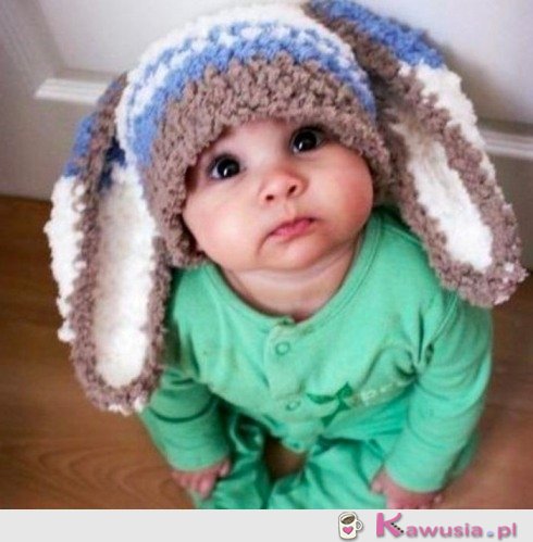 Słodki kr&oacute;liczek