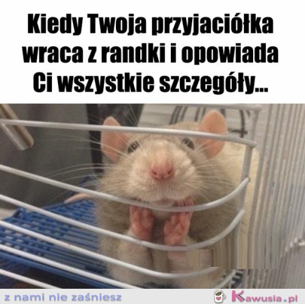 Mów mi szybko...