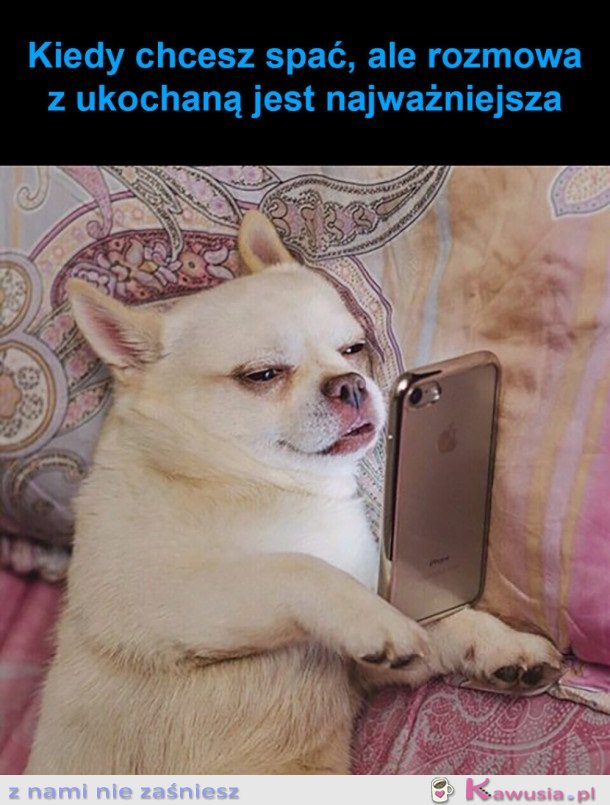 NIE MA ŻE BOLI