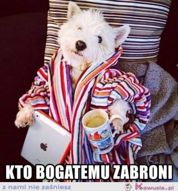 Kto bogatemu zabroni?