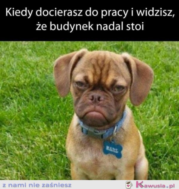 No nie dalej stoi