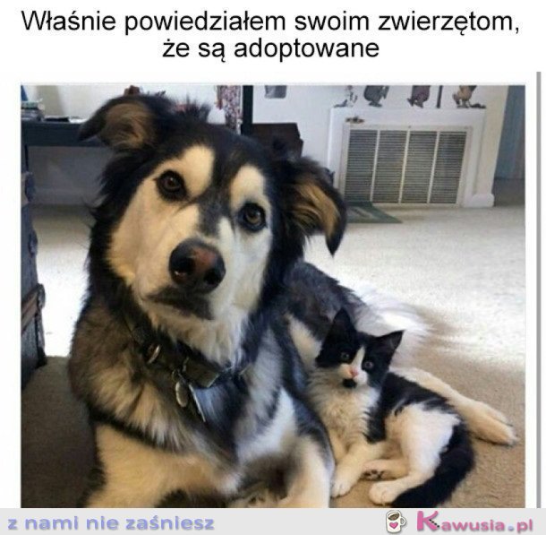 Właśnie się dowiedziały