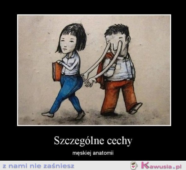 Szczególne cechy męskiej anatomii