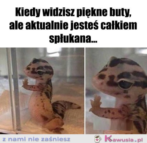 Już was nigdy nie zobaczę...