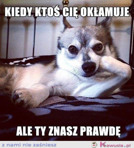 Kiedy ktoś Cię okłamuje...