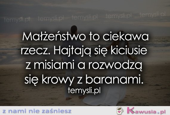 Małżeństwo to ciekawa rzecz