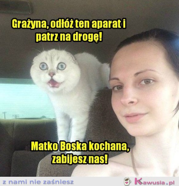 PATRZ NA DROGĘ!