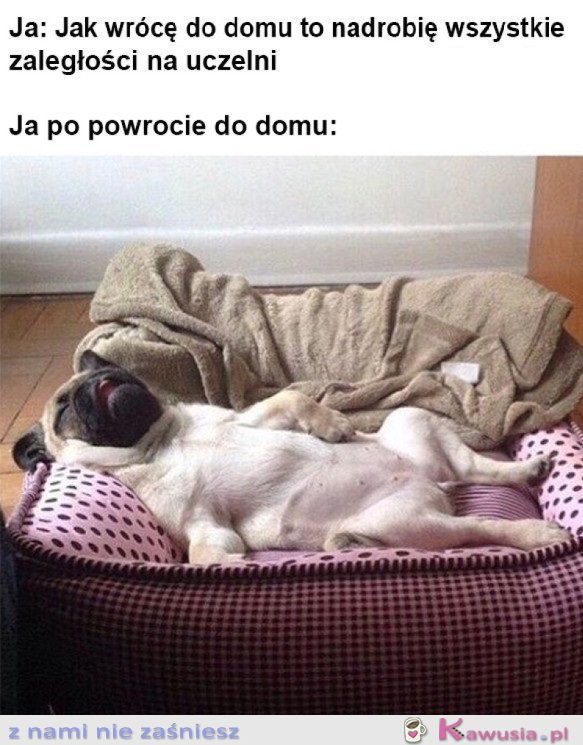 Będę produktywna